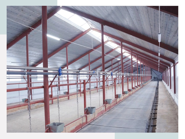 Строительство коровников в Полысаеве от 617 руб.