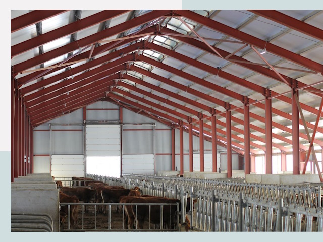 Строительство коровников в Полысаеве